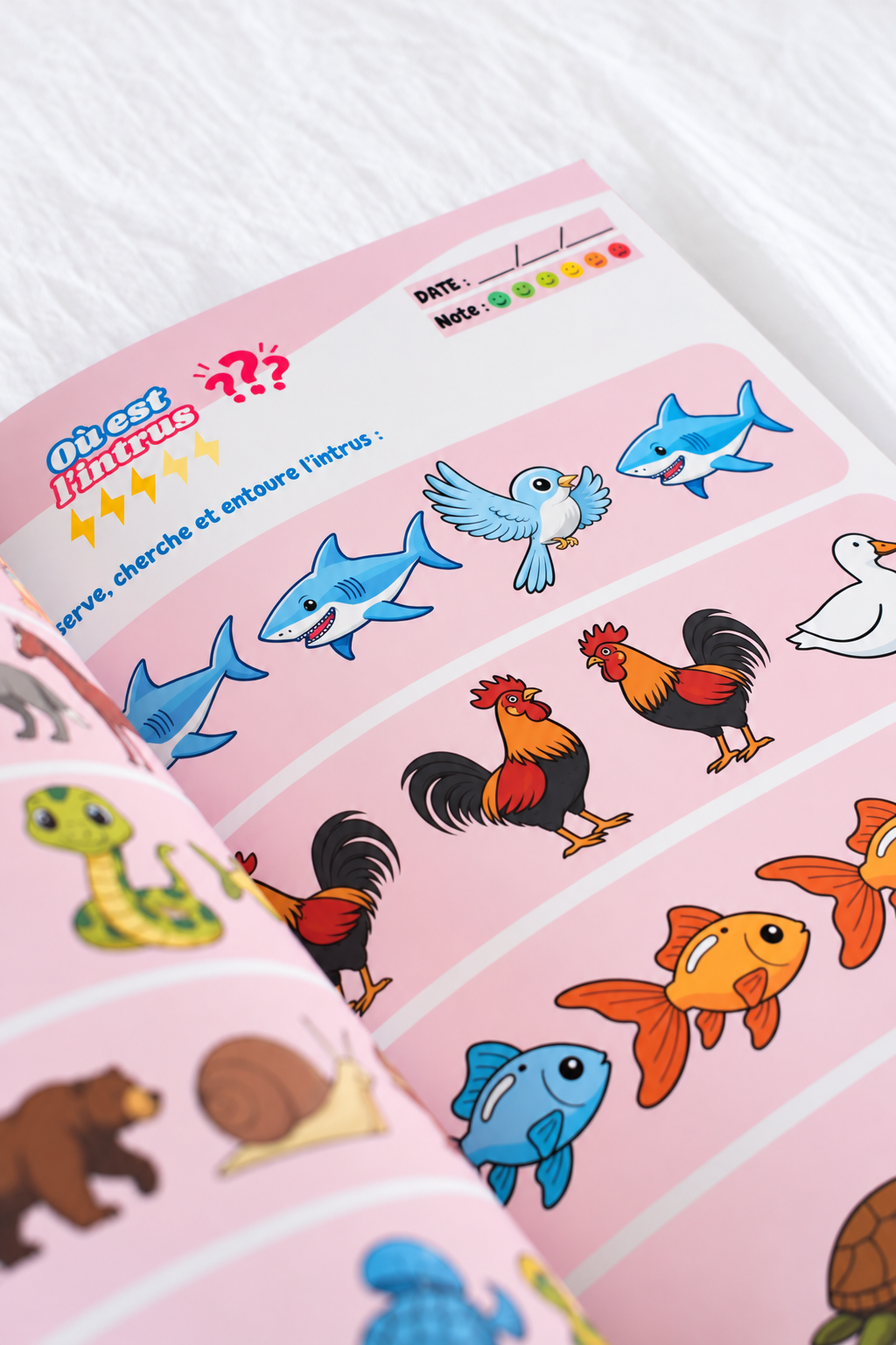 Où est l'intrus ? idée d'activité pour enfant a faire à la maison  