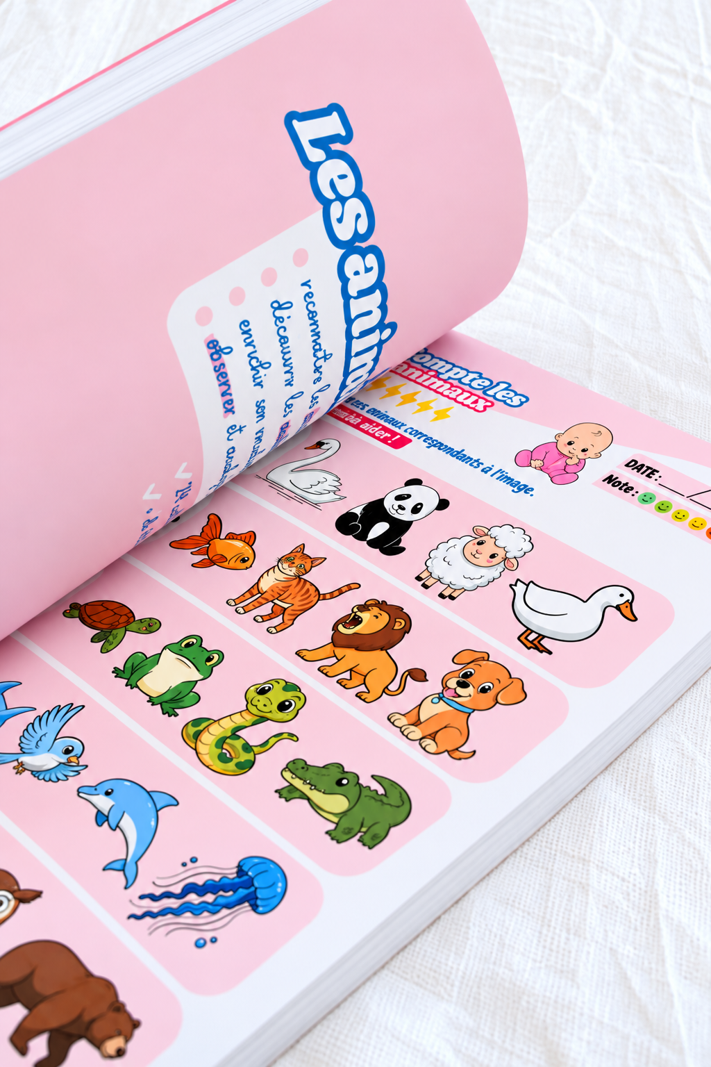Apprendre a reconnaitre les animaux grâce au baby activités. 