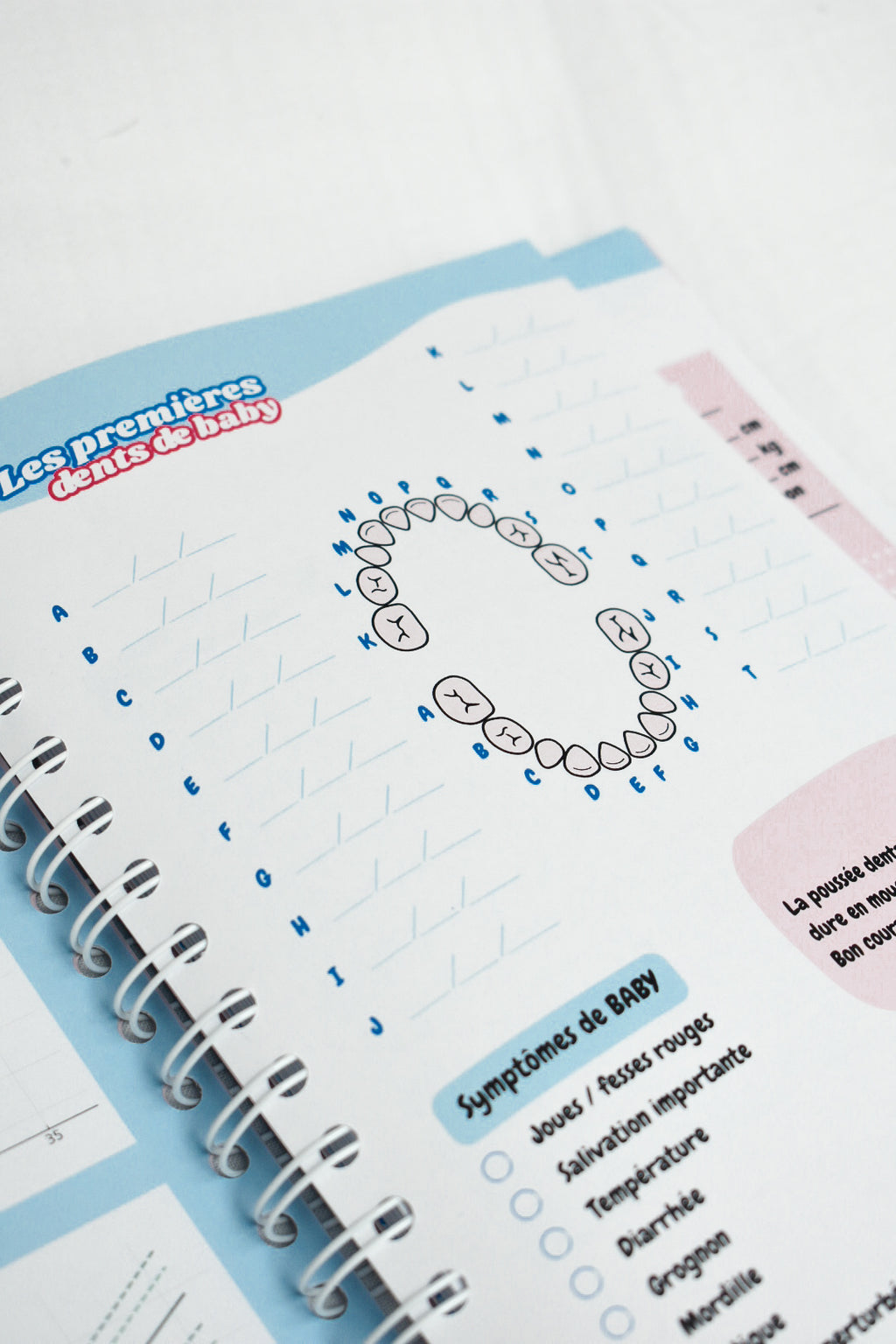 Agenda Bébé 0-12 mois — Carnet de bord naissance | Crabe Cerise