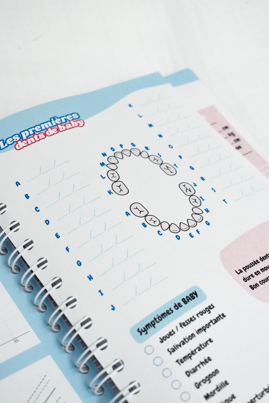 Agenda Bébé 0-12 mois — Carnet de bord naissance | Crabe Cerise
